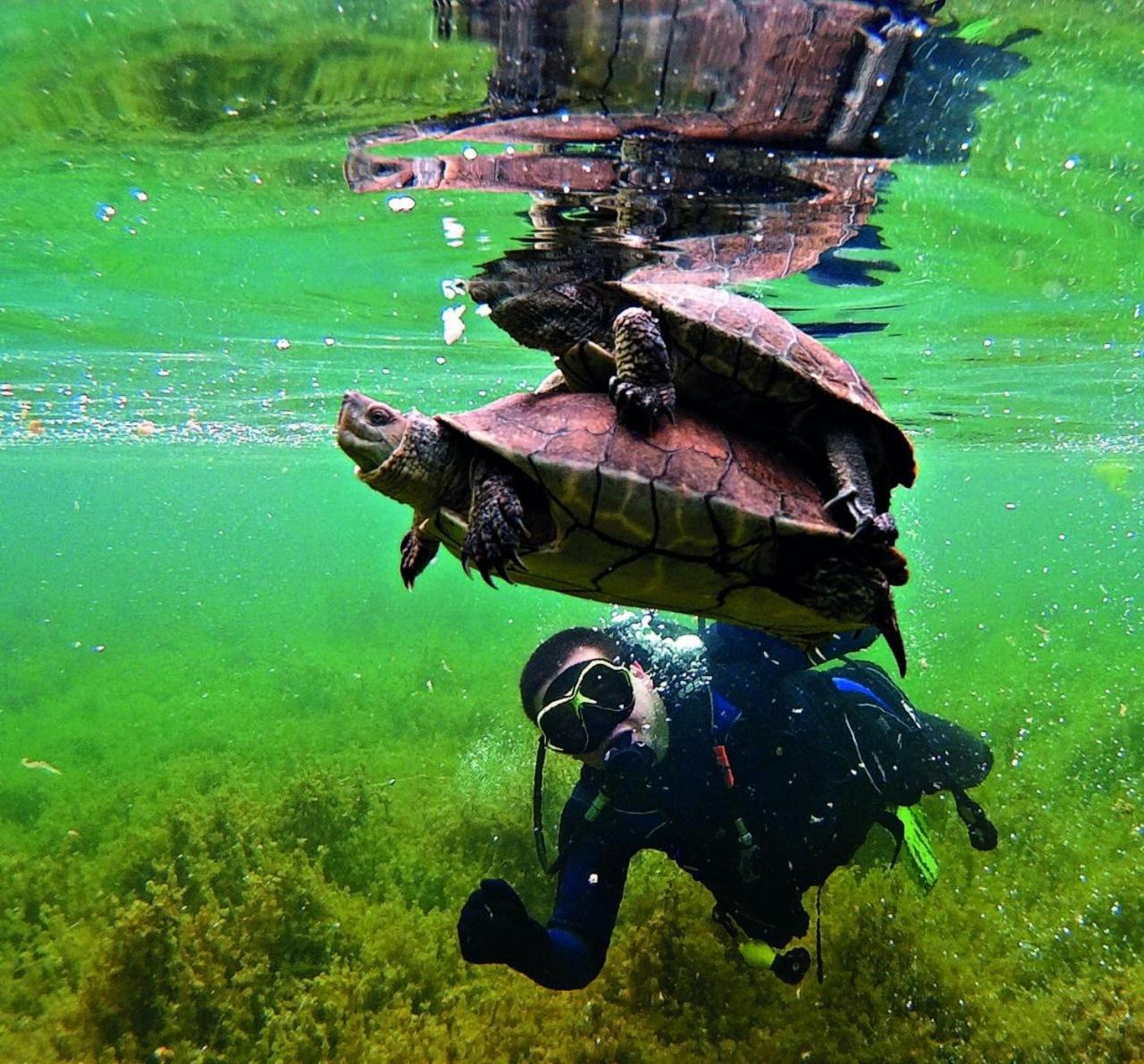 Villa Tranquila Lagunas De Ruidera Ossa de Montiel Dış mekan fotoğraf