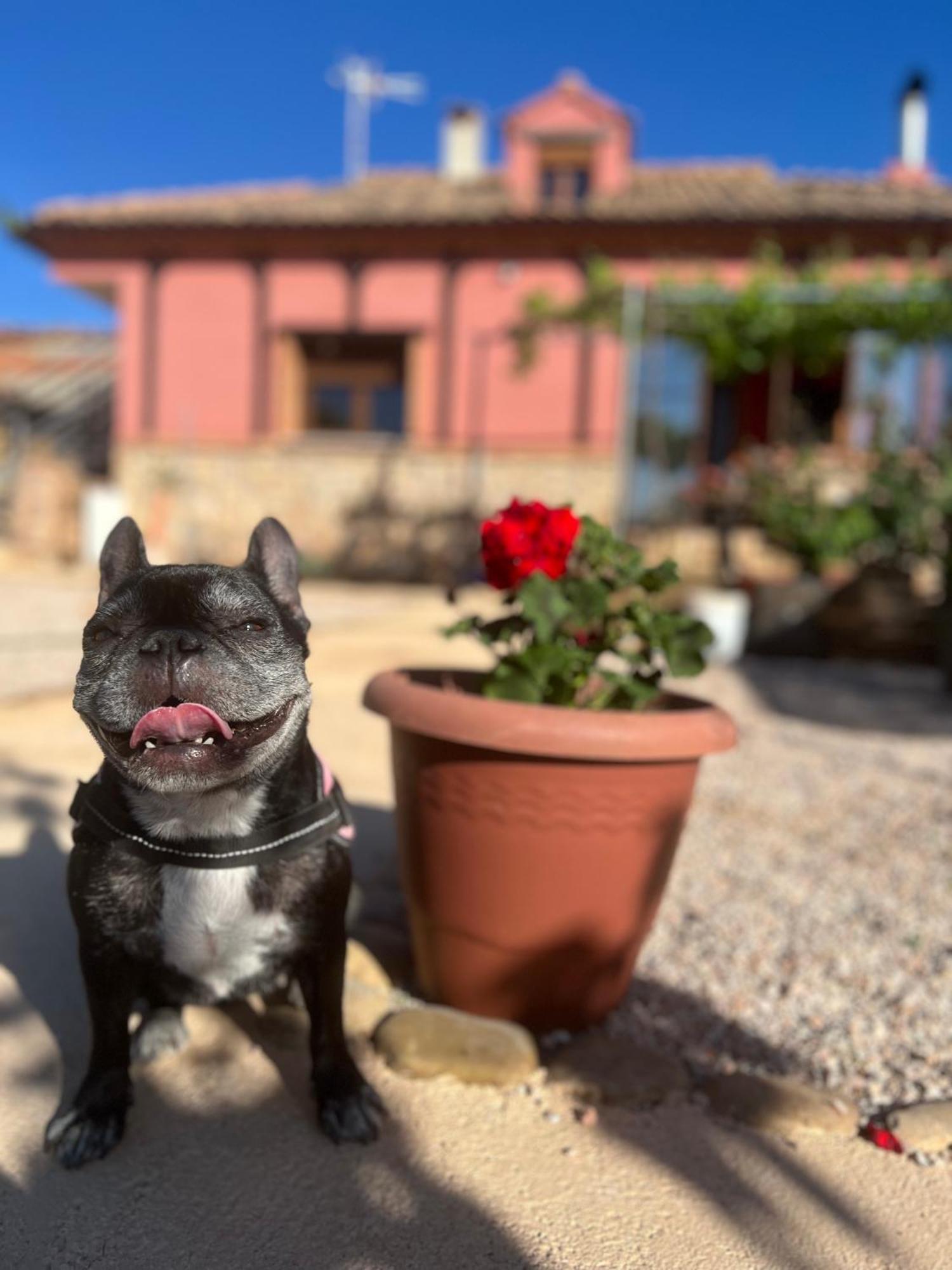 Villa Tranquila Lagunas De Ruidera Ossa de Montiel Dış mekan fotoğraf